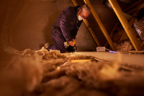 Best Blown-In Insulation  in Orange City, IA